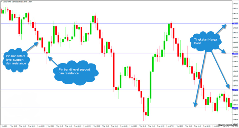 pin bar dan level support dan resistance