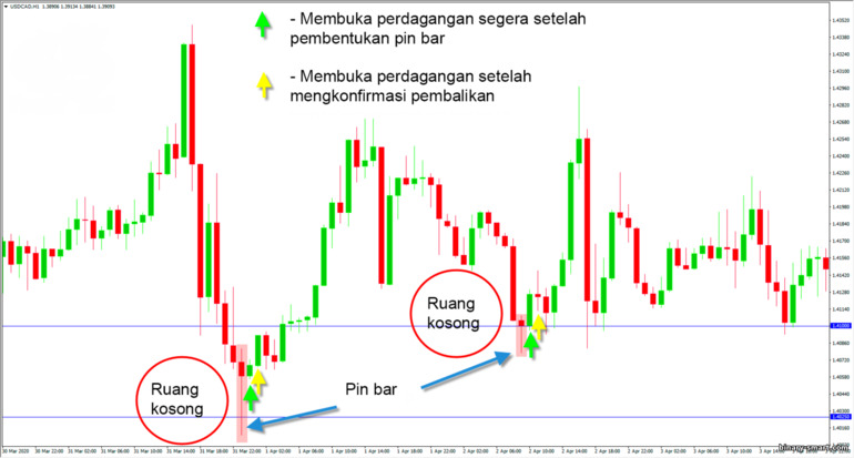 perdagangan pin bar