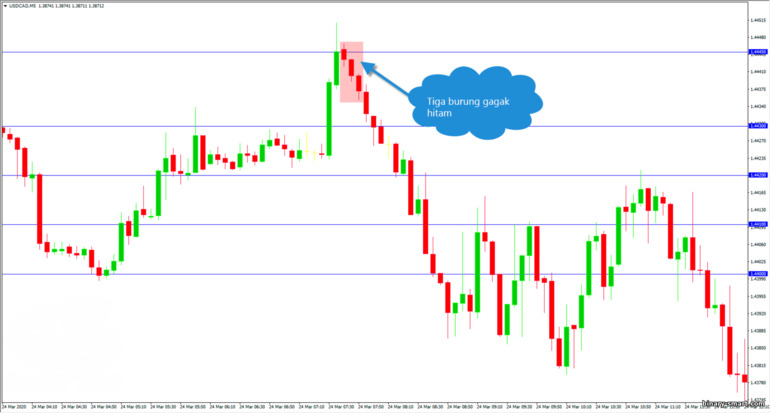 tiga gagak merah antara level support dan resistance