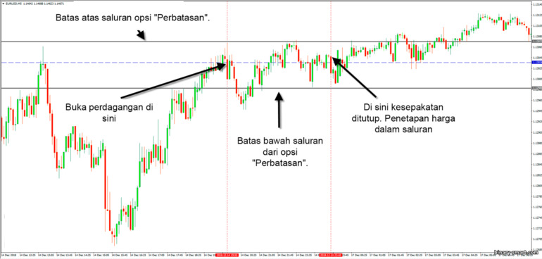 opsi biner di luar batas atau di luar jangkauan