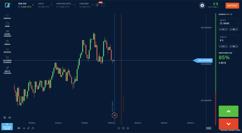 Broker opsi biner IQ Option