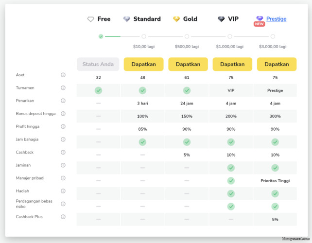 status akun di platform broker Binomo