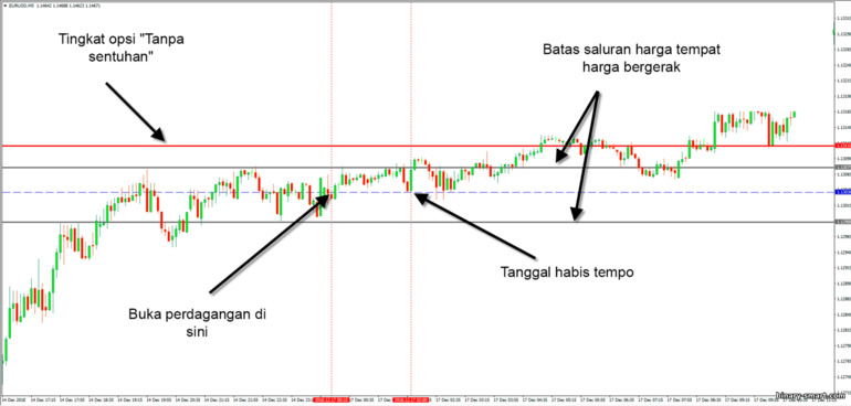 Batas atau rentang opsi biner