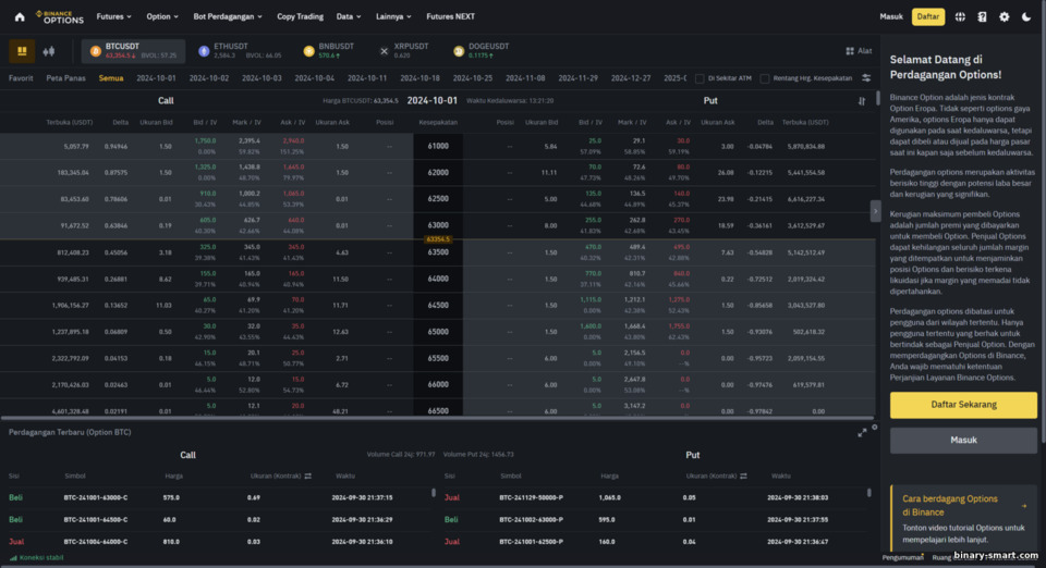 Tinjauan Opsi Binance